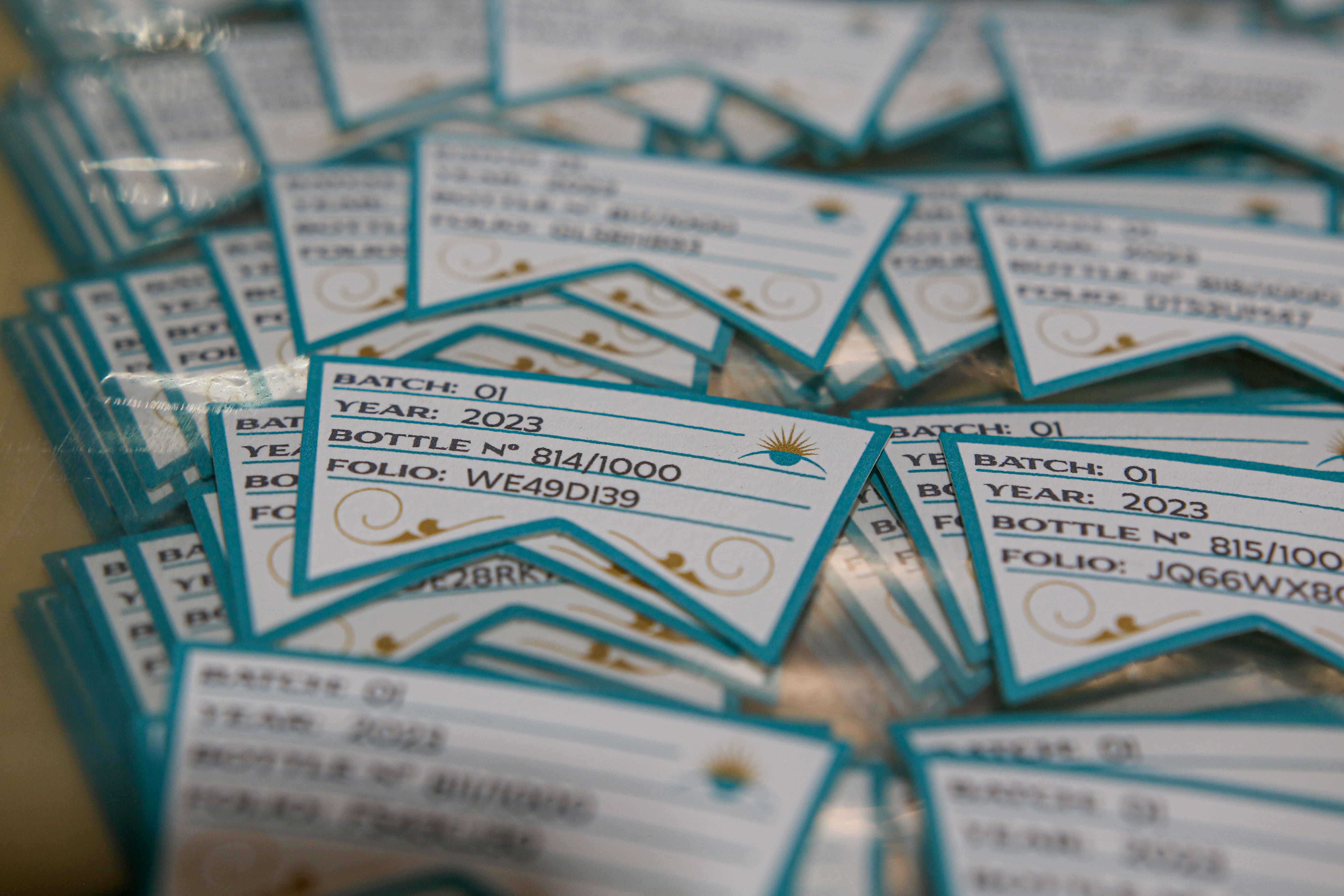 Interesting Area - DIGITAL COLLECTION PORTAL, <br /> THE FUTURE - Tequila Matices